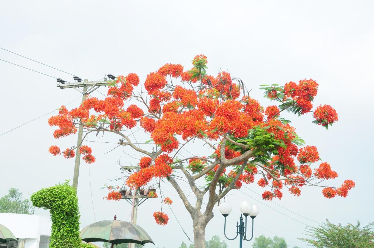 Hotel Naz Garden Bogra Luaran gambar
